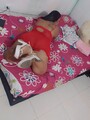 FOTOS DE HOLA MI AMOR SOY ANGELA UNO LINDA GORDITA COMPLACIENTE