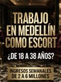 FOTOS DE SOLICITAMOS CHICAS ESCORT Y MASAJISTAS CUPOS DISPONIBLES PARA TRABAJAR MEDELLIN