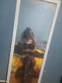 FOTOS DE PUTITA FLAQUITA LISTA PARA COJER MANDAME WHATSAPP PARA PASARLA RICO