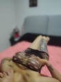 FOTOS DE MI VIDA SOY SHIRLY LINDA PAISA OJOS CLAROS Y TETONA PARA TI EN TU CIUDAD