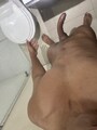 FOTOS DE MORENO ANTIOQUEÑO CON EL PENE GRANDE Y GRUESO.