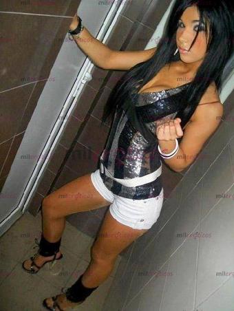 portal escort perra portal escort perra
