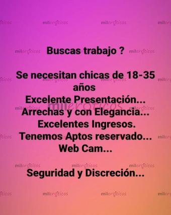 Foto de AGENCIA BUSCA CHICAS 18 A 35 años, EXCELENTES INGRESOS, Privacidad y Seguridad