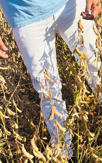 Macho ativo e safado pronto para realizar seus maiores fetiches atendo homens mulheres e casais com total discricao dot 18 cm e pes 44 atendimento em...