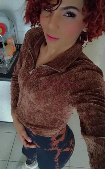 Hola soy una chica de colombia morenita apasionada te cumplas con todo lo que me digas bebe soy muy perra en la cama fogosa te complaco en todo lo que...